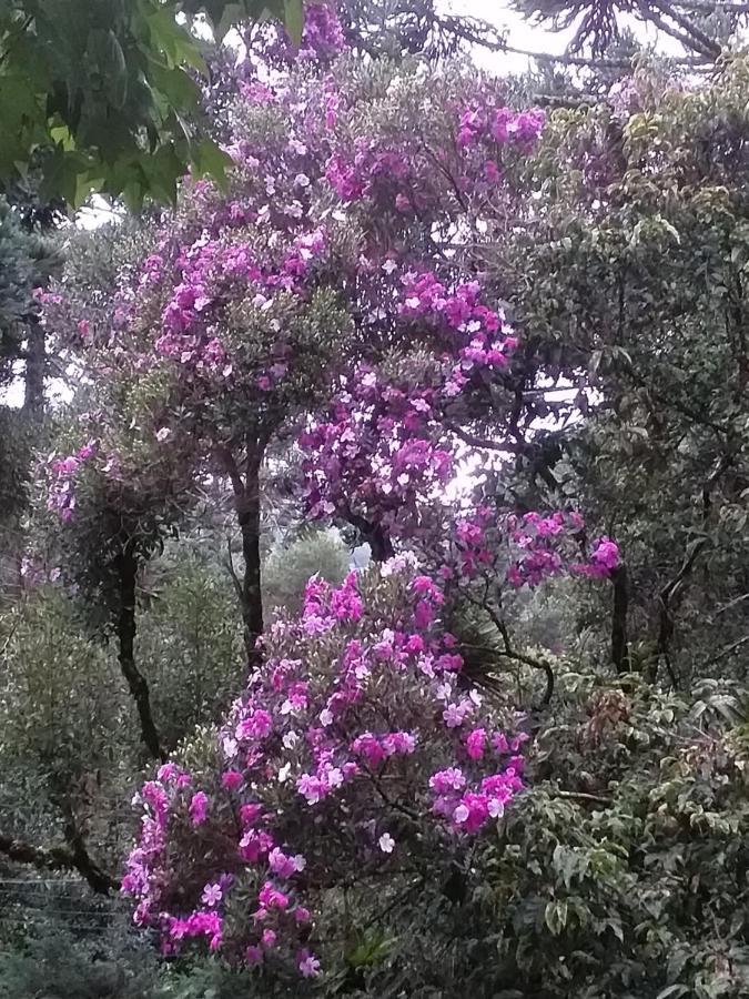 Campos do Jordão Piccolo Borgo Antico - Rifugio Del Falco מראה חיצוני תמונה